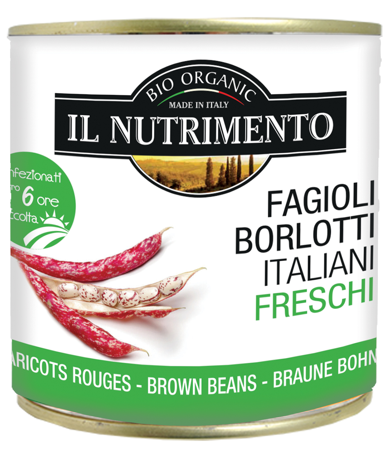 Madonna! 41+  Fatti su  Fagioli Borlotti Freschi Ricette Estive! I fagioli borlotti freschi, una volta sbaccellati possono essere conservati anche crudi.